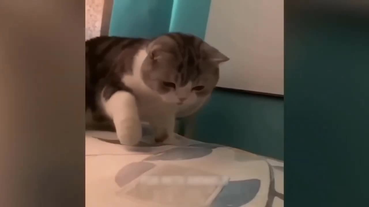 😹😅😅😅