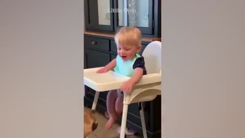 funny babies