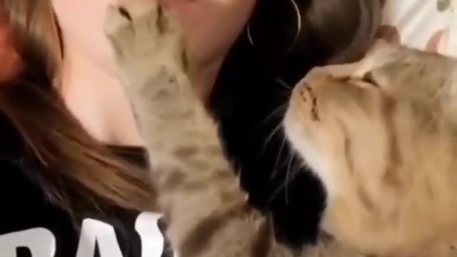 Cat kiss 💋 video