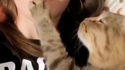 Cat kiss 💋 video