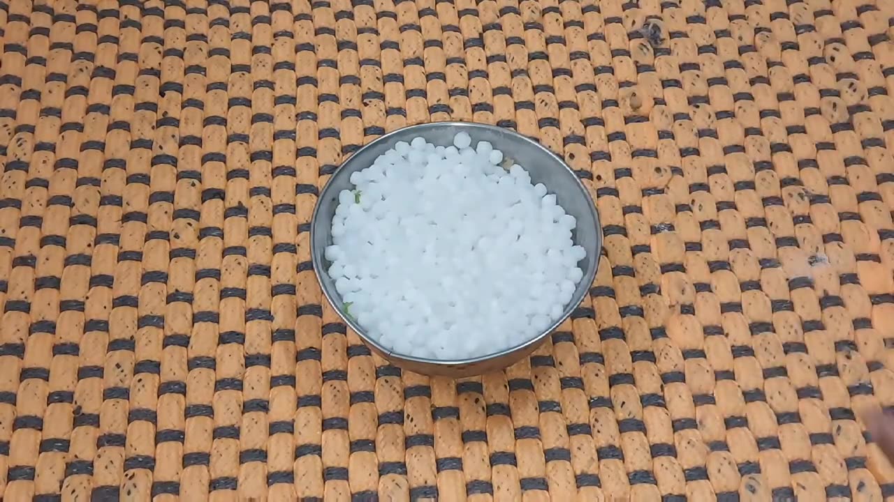 Instant sabudana parata_సగ్గుబియ్యం పరాటా💯%healthy😋👌🥰_sabudana papadlsabduna roti