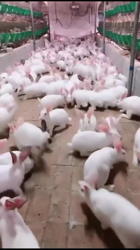 likeforlikes _followforfollowback _instagood _instalike