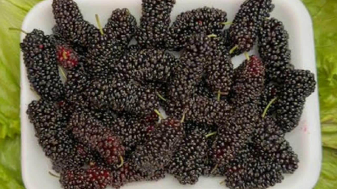 Sweet and healthy mulberry magic