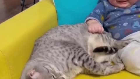 Cute cat & baby funny moment 🐈🐈😾