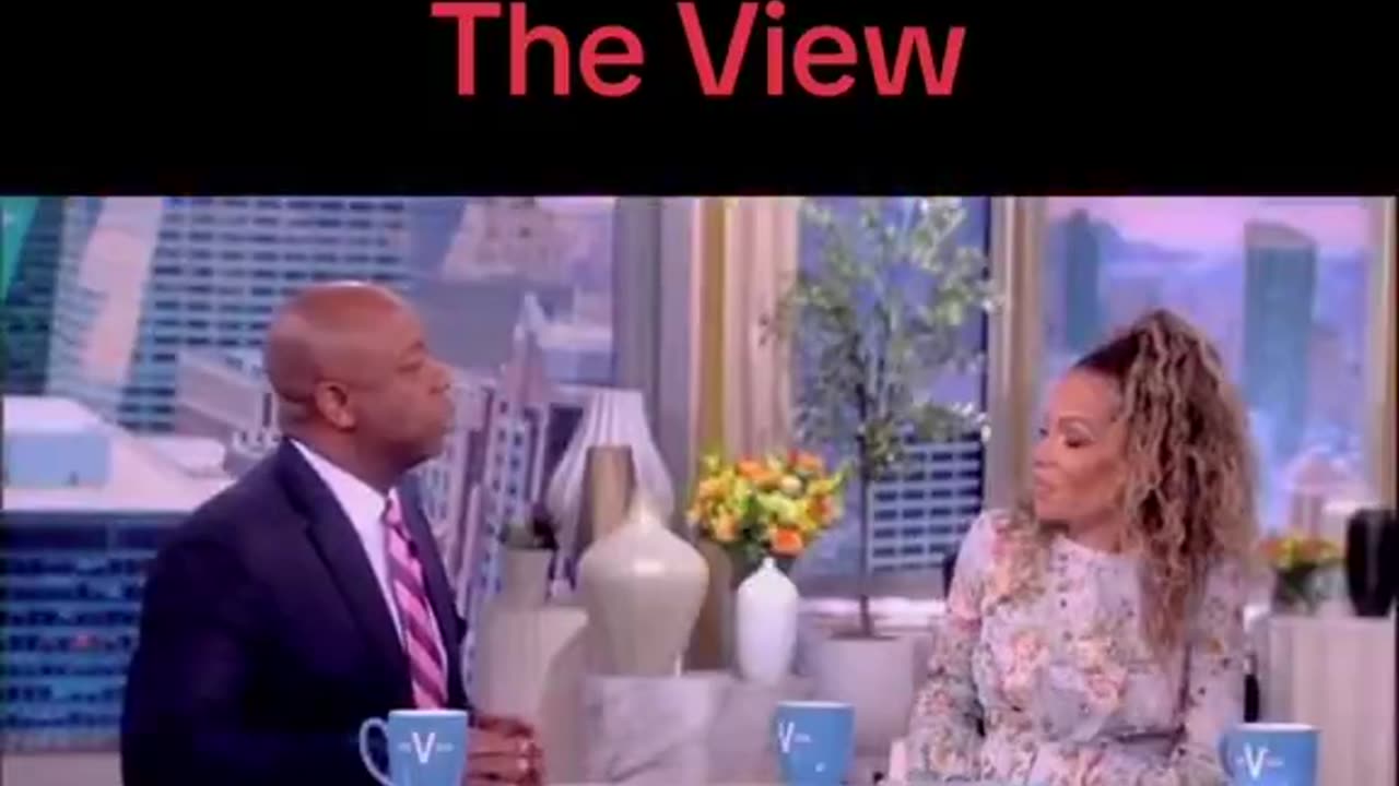 Senator Tim Scott (R-SC) destroys "THE VIEW "Host on her racist “views of America