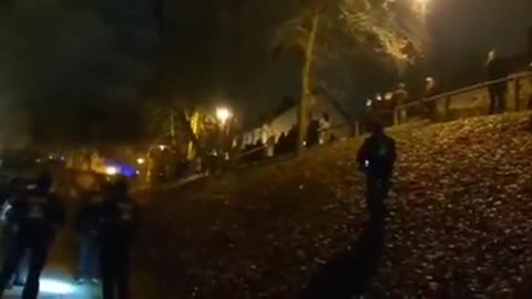 Germany - Police caught on Camera beating up a protester begging for them to stop