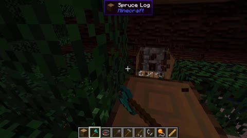 Minecraft vanilla skin version 1.17.1_Shorts_16