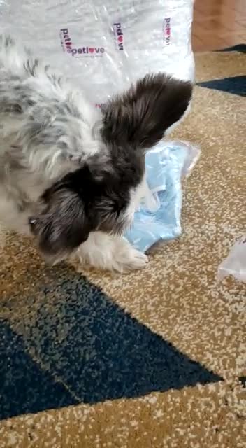 When your gift arrives