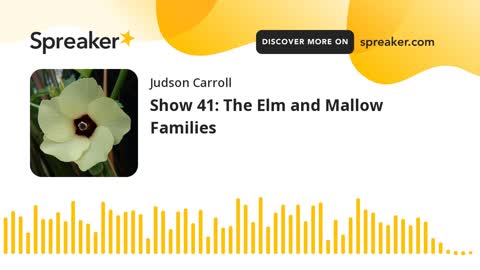 Show 41: The Elm and Mallow Families (part 3 of 3)