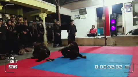 pencak silat