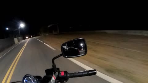 Creatures of the night