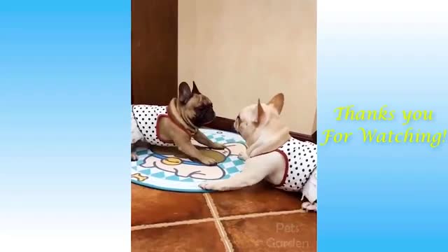 Cute and Funny Babies and Animals Interacting Sooo Adorable!