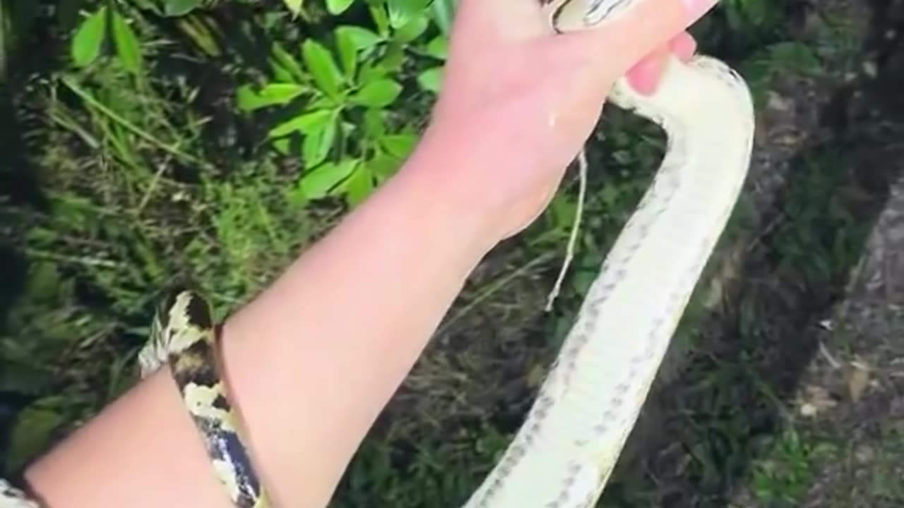 This guy is the final boss of evolution