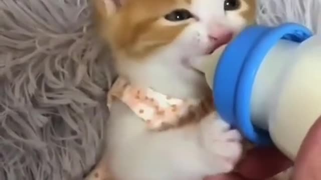 the source of happiness