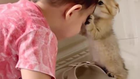 Kitty playing with the lil baby 😻🥰🥰