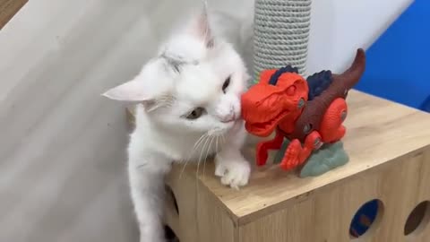 Cat's Hilarious Reaction to Seeing a Dinosaur Toy for the First Time! 🦖😹