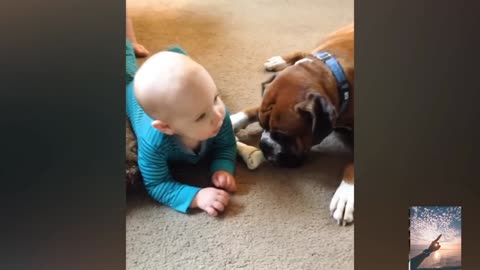 Adorable Babies Playing With Dogs Compilation - Funny Baby And Dog Videos❤️