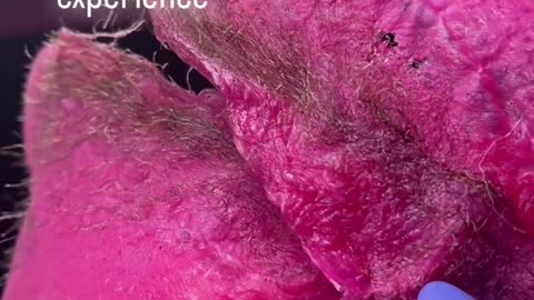 How Every Hair is Snatched with Sexy Smooth Tickled Pink Hard Wax by @amazinme_esthetics