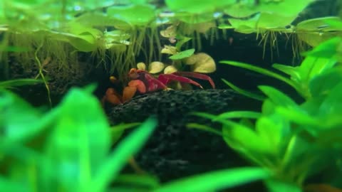 One Year Ago I Built an Ecosystem, This Happened