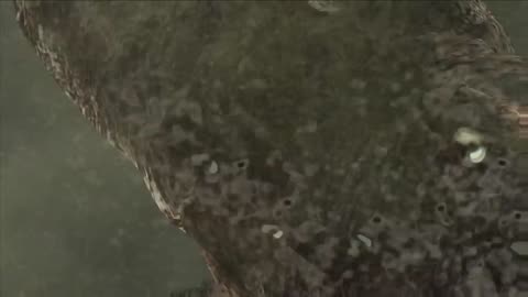 Resident Evil 4 - PARTE_54