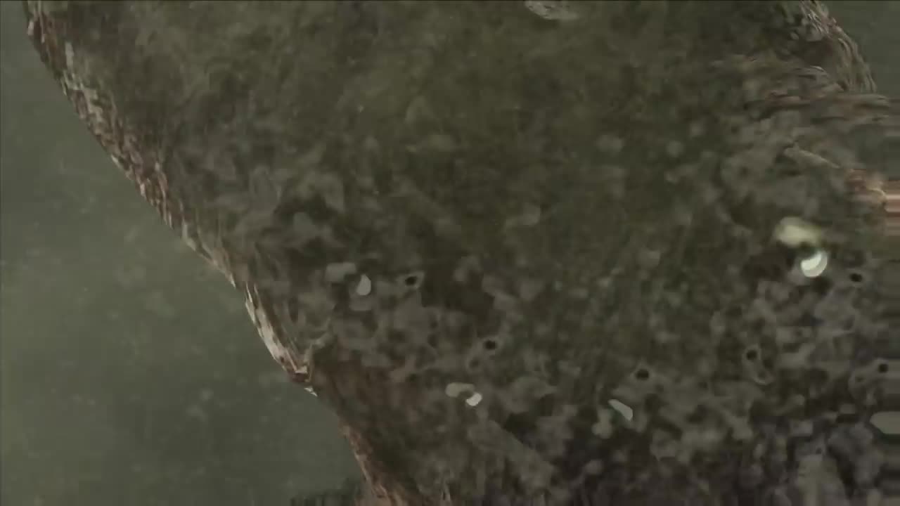 Resident Evil 4 - PARTE_54