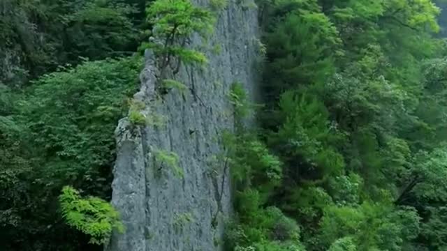mountain🏞️