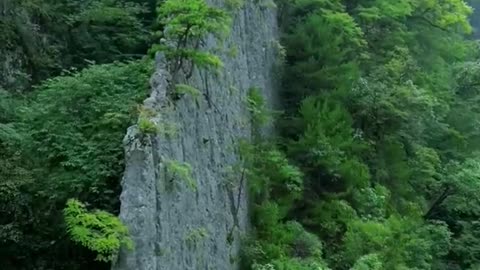 mountain🏞️