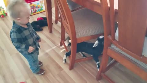 Baby and baby Goats