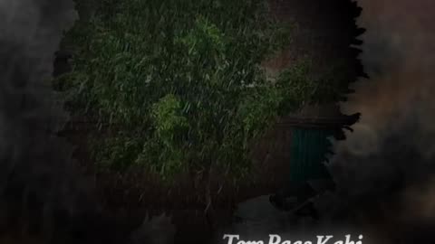 Romantic Rain Status whatsapp