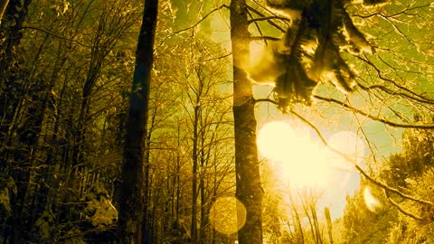 Hours of Amazing Nature Scenery