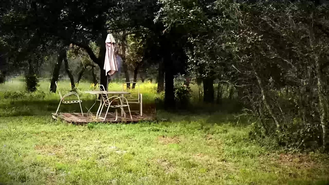 When the Trees Hide the Wind: South Texas Rural Ambience