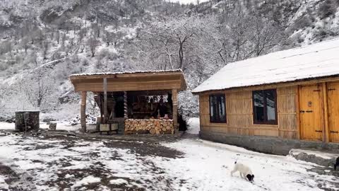 A beautiful and quiet cooking environment