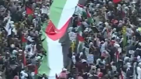 Nearly A Million People Hit The Streets Of Washington Demanding Immediate Stop To Israeli War Crimes
