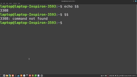317_how to "see the process id of the current instance of the shell" with echo $$