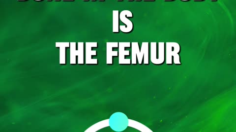 👍True or False 👎 #5