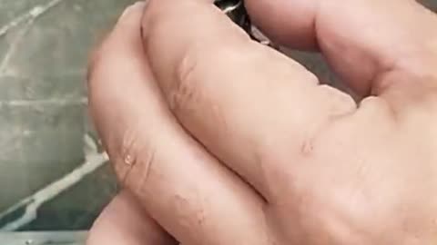 Amazing facts