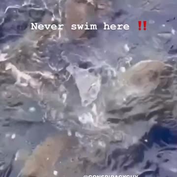 Never Swin Here!!!