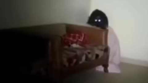 Mysterious ghost