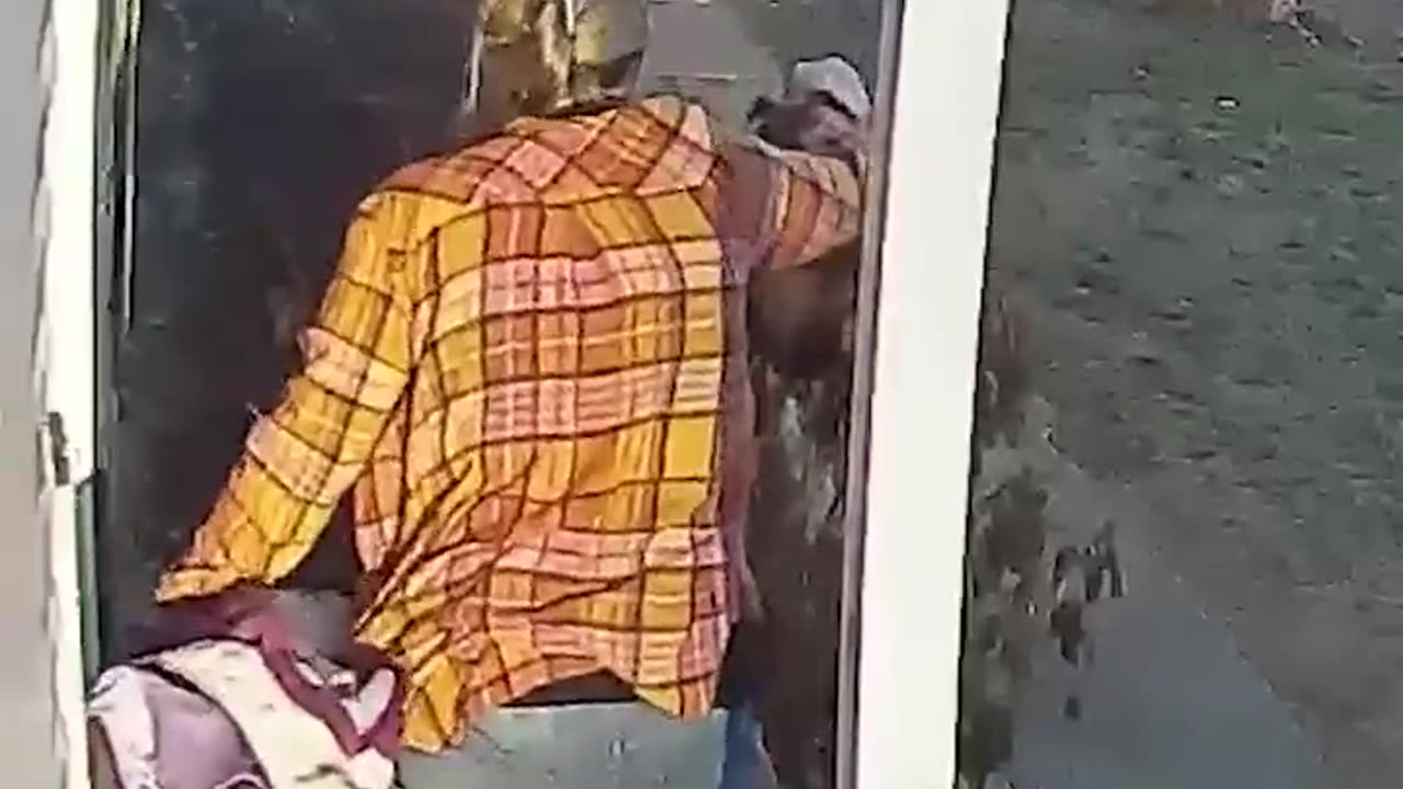 Heroic mom saves terrified five-year-old from raccoon attack | USA TODAY