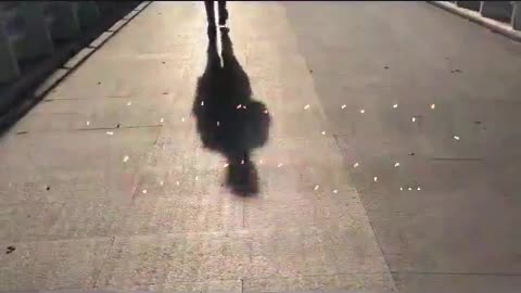 Lisa Richard 10/19/24 Night Beg...