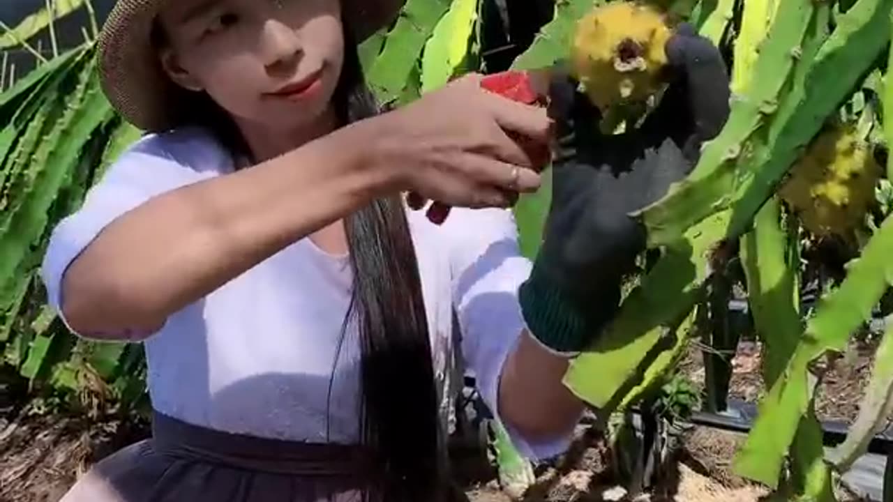 Enjoy beautiful nature with rural life
