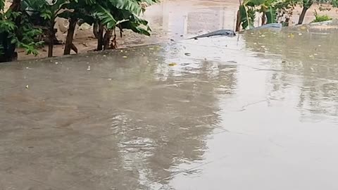 Indian rain