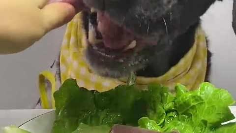 dinner time !