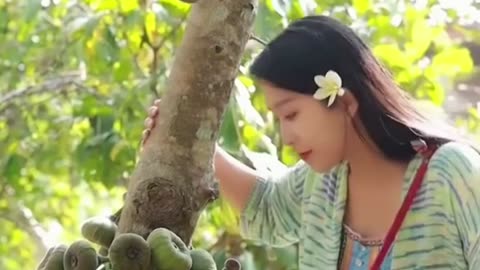 World Most Expensive Mango