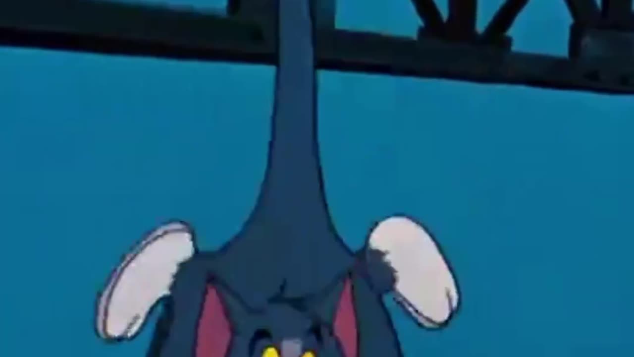 Tom and Jerry