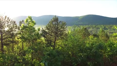 Relaxing Piano Music and Guitar Music