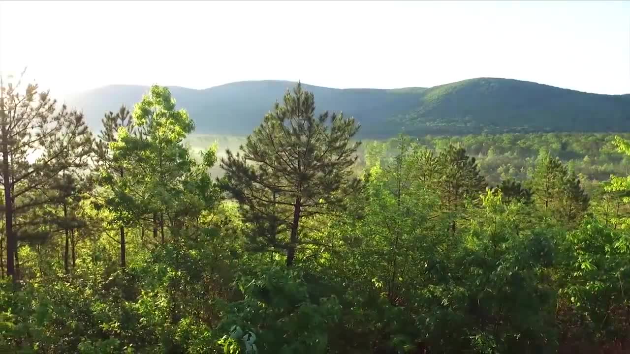 Relaxing Piano Music and Guitar Music