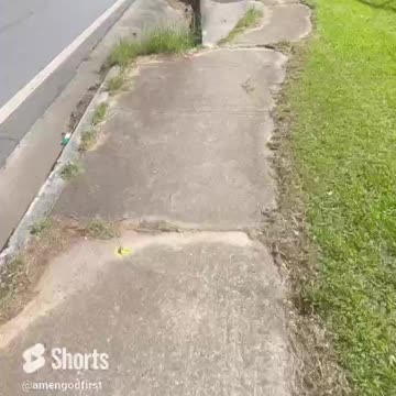 Detox More walking #shorts