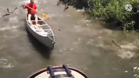 funny animals,funny animals life,funny animal videos,funny videos,funny video,funny dog videos,
