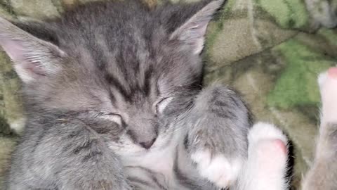 Contentment
